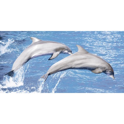 Set Decorativ 4 placi KAI Dolphins, finisaj lucios, decor delfini, 60 x 30 cm