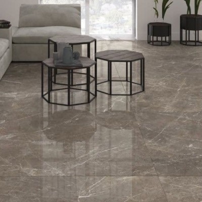 VASSARI GRIS POLISHED 60X120