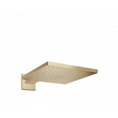Cap dus fix Raindance E 300 1 jet brat 390 mm - brushed bronze