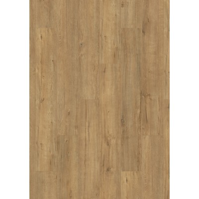 Gold Apollo Oak K633