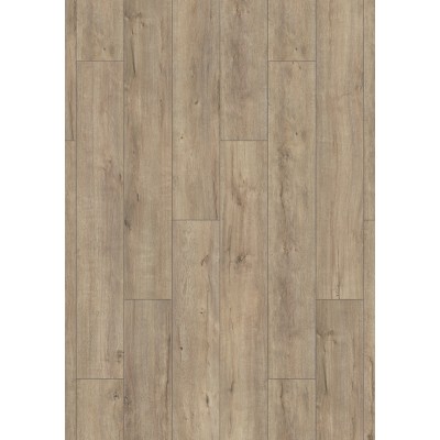 Mushroom Apollo Oak K634