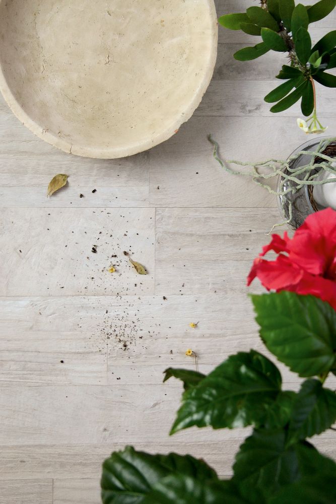 Silverside Driftwood K039