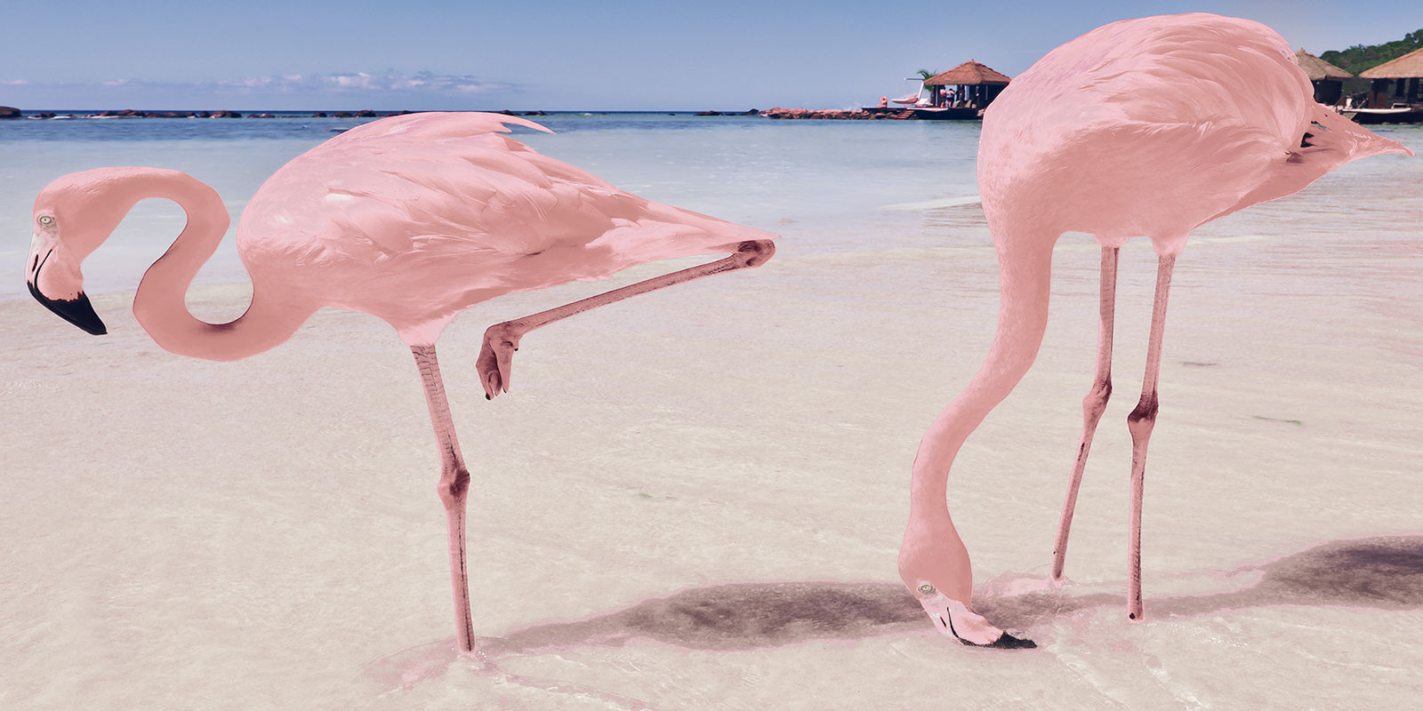 Set Decorativ 4 placi KAI Flamingo, finisaj lucios, decor flamingo, 60 x 30 cm