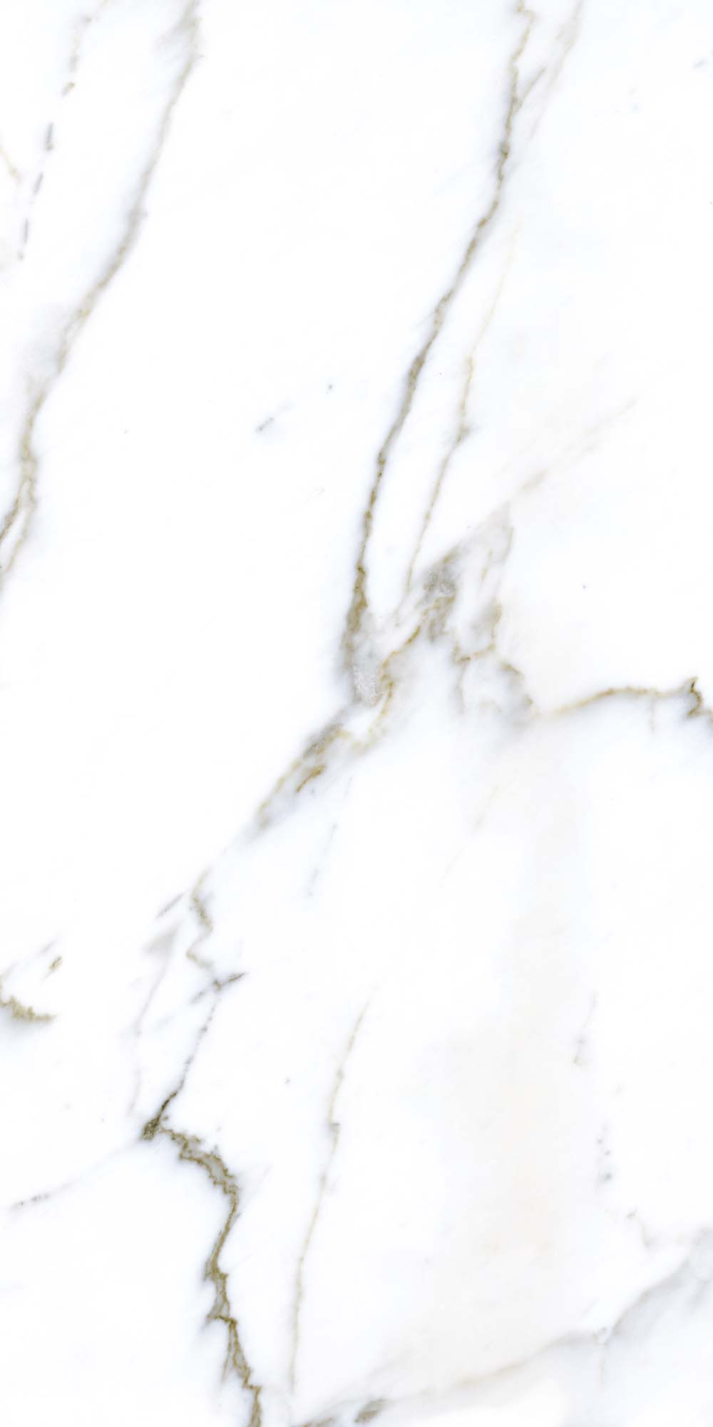 Gresie Porțelanată Rectificată Lucioasă 60x120 R QUARRY -Alb