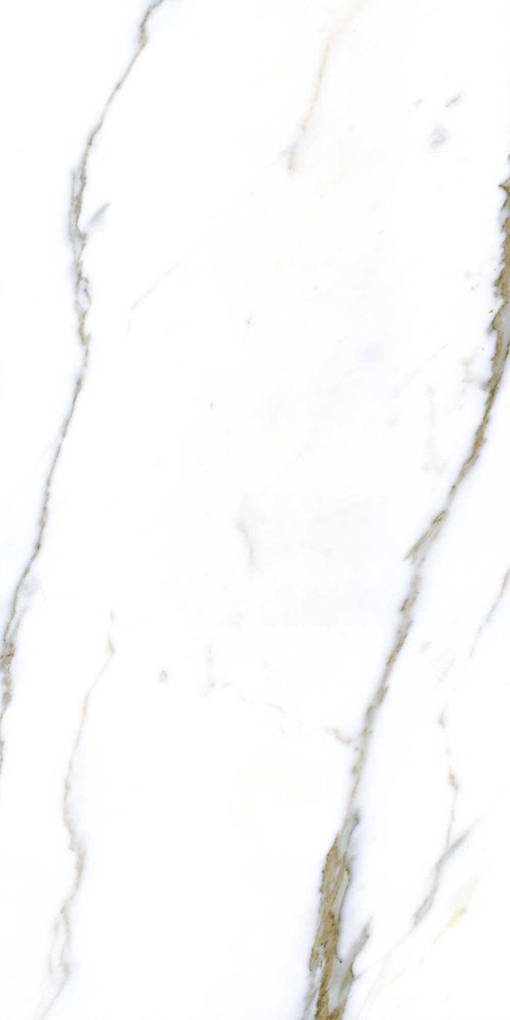 Gresie Porțelanată Rectificată 60x120 R QUARRY - Satin Matt - Alb