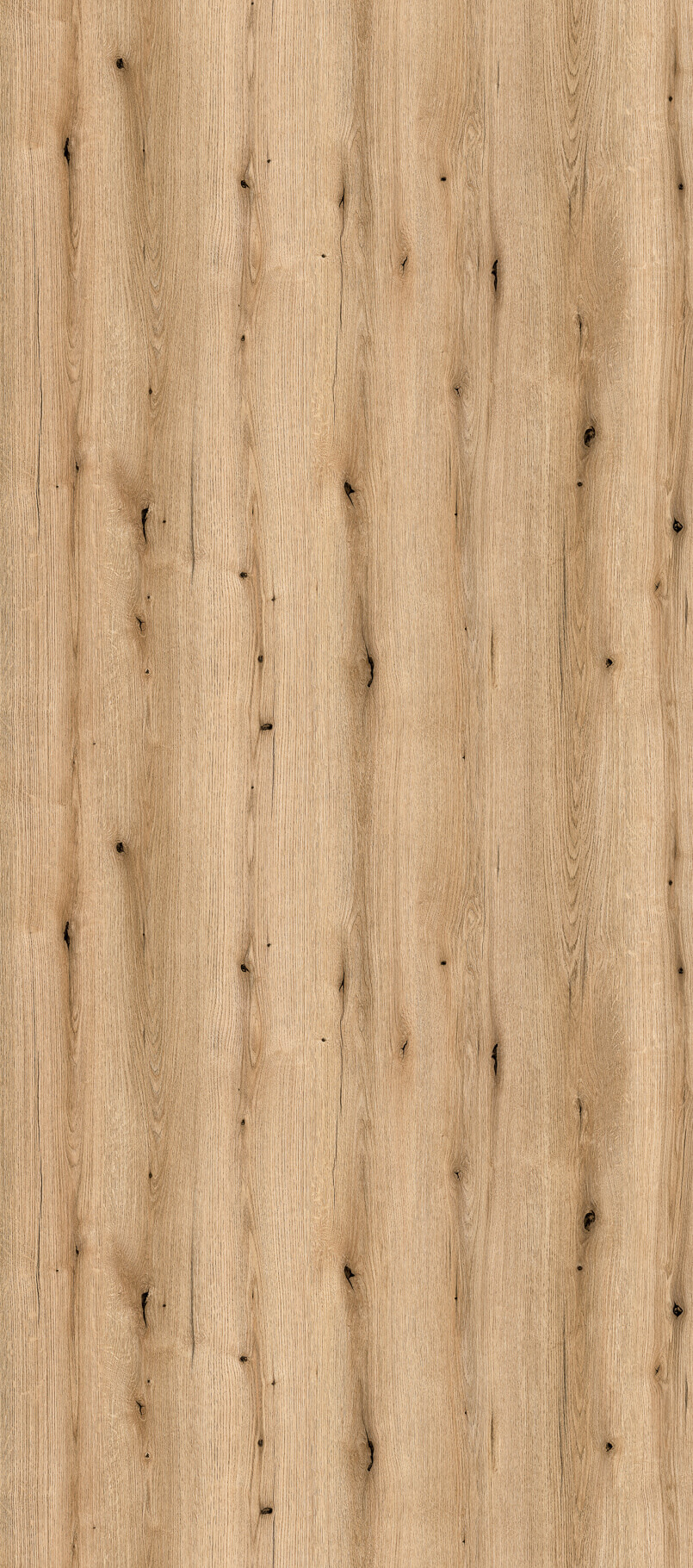 Coast Evoke Oak K365