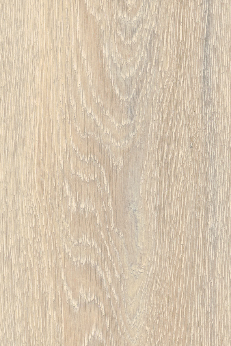 Colorado Oak 5543