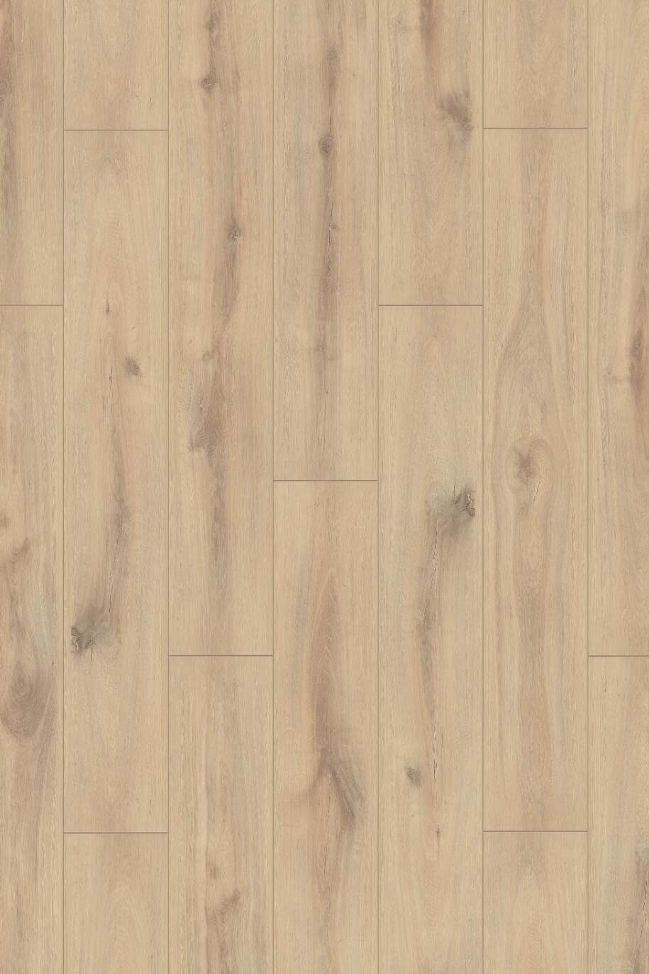 Organic Oak K063