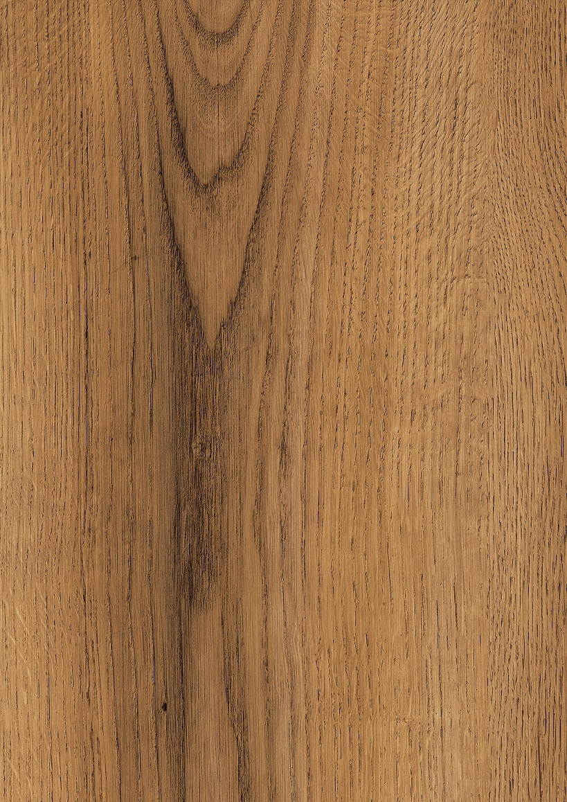 Schönbrunn Oak O462