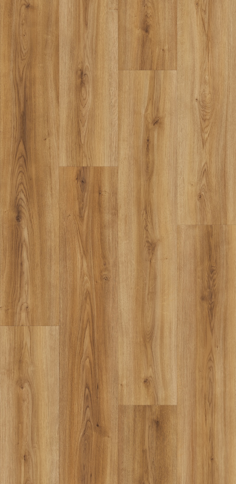 Schönbrunn Oak O462