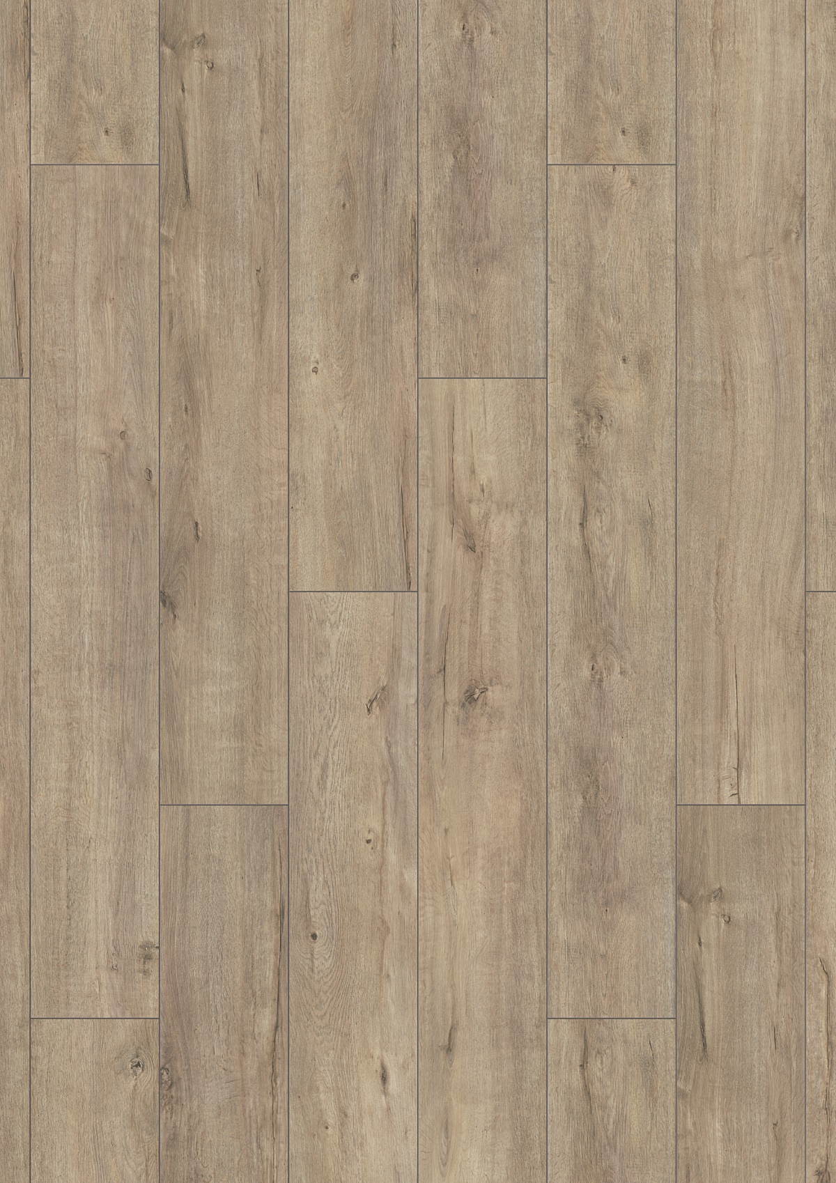 Mushroom Apollo Oak K634