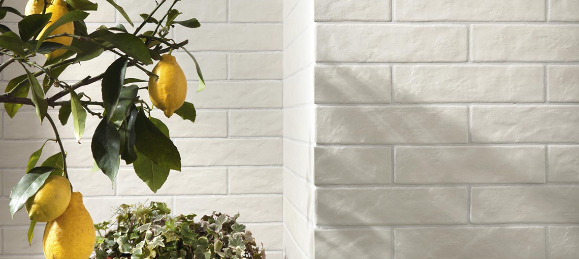 Colectia Calce - Ragno